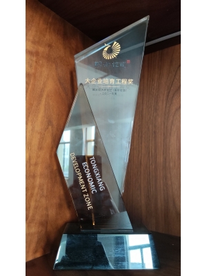 桐鄉(xiāng)經(jīng)濟(jì)開發(fā)區(qū)(高橋街道) 大企業(yè)培育工程獎(jiǎng)