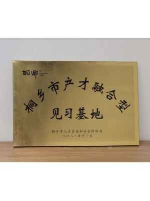 桐鄉(xiāng)市產(chǎn)才融合型見習(xí)基地